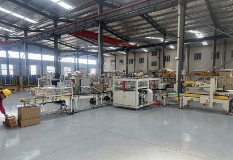  翻轉(zhuǎn)側(cè)推裝箱線(xiàn)